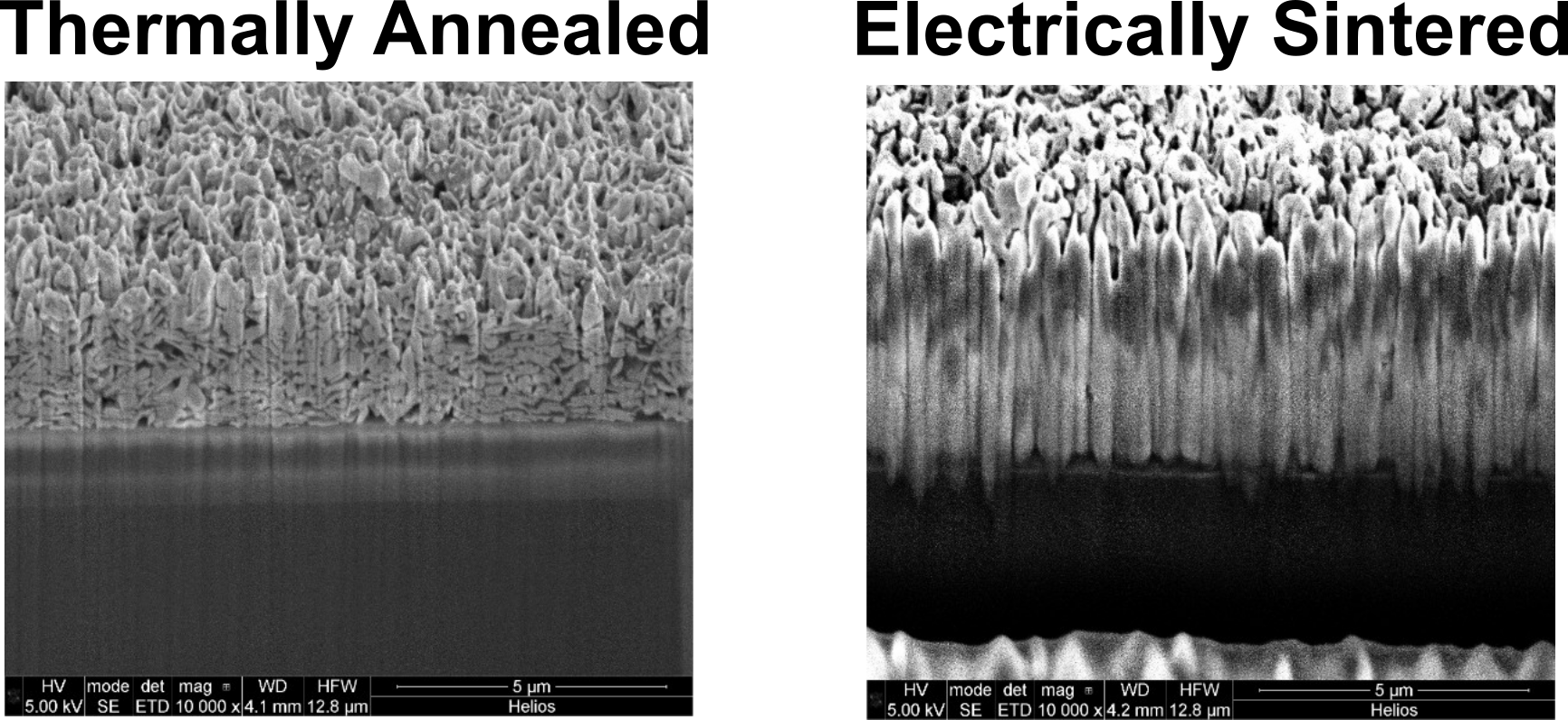 FIB Cross-sections of thermally annealed and electrically sintered silver traces